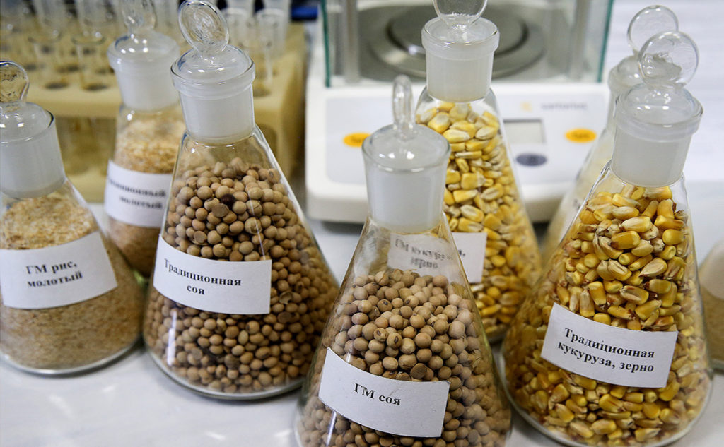 ГМО: преимущества и риски