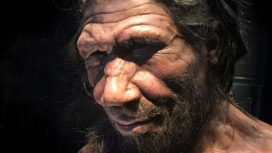 Неандертальцы – изгои истории