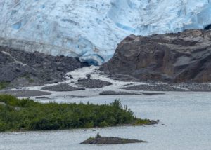 Гольфстрим-ледник